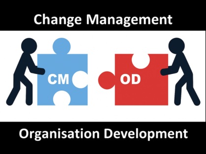 Organizational Development Consulting vs. Change Management